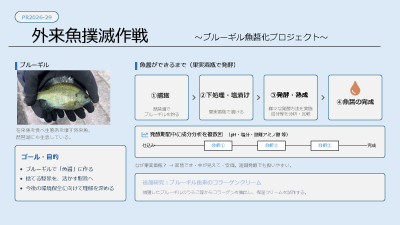 project29
