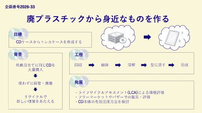 project33